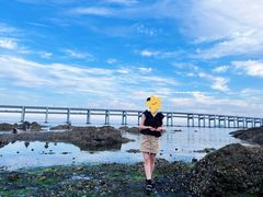 -星海湾跨海大桥