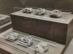 -敦煌市博物馆