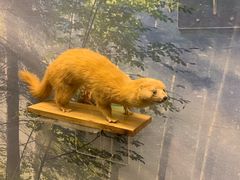 -下渚湖国家湿地公园科普馆