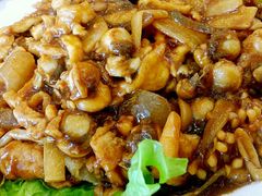 -普天和酒楼·新津菜·烤鸭(天津之眼店)