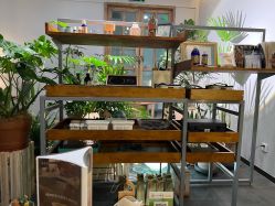 -芳香乐府疗愈空间·SPA·冥想