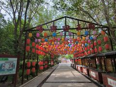 -哈密回王府景区