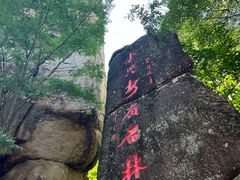 -汤旺河林海奇石景区