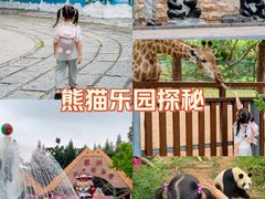 -深圳野生动物园