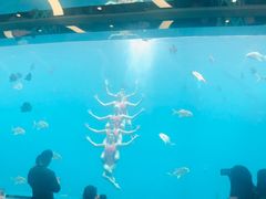 -瑞德姆美人鱼海底演艺主题餐厅(亚龙湾店)