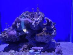 -青岛海底世界-水族馆