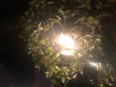-胡桃里音乐酒馆(环亚凯瑟琳广场店)