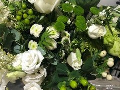 -植物学家的女儿(北马道巷店)