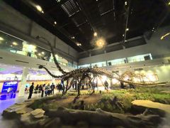 -自贡恐龙博物馆