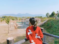 -安徽大青山野生动物世界