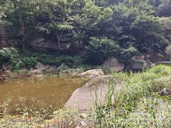 -六里坪国家森林公园