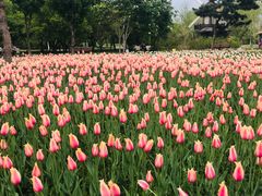 -长春公园(普阳街道)