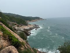 -广东惠东海龟国家级自然保护区