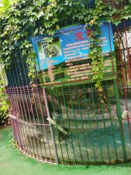 -萌宠亲子动物乐园(槐房万达店)