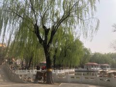-丰台花园