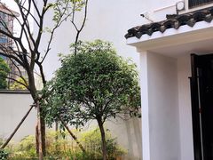 -海江5号
