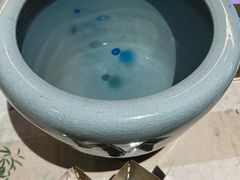-牛New寿喜烧(金鹰世界店)