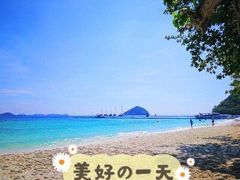 -珊瑚岛