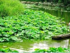 -紫竹院公园冰场