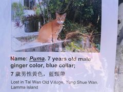 -南丫岛
