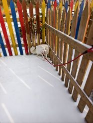 -268童话露营农场·烧烤·团建
