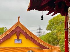 -太子山公园(园东路)