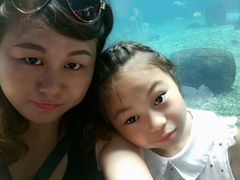 -北戴河圣蓝海洋公园