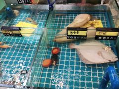 水产区-佤家大院(南门店)