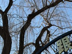 -济南国际园博园