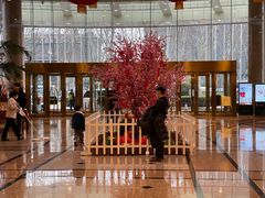 -南京维景国际大酒店(南京博物院店)