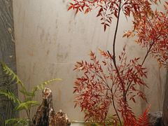 -阿五黄河大鲤鱼(纬三路店)