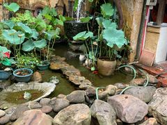 -园林美食城·本土农家菜(杨和镇店)