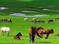 -新疆那拉提国家旅游度假区
