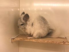 -龙猫仔乐园(惠福东路店)