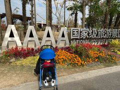 -上海长兴岛郊野公园