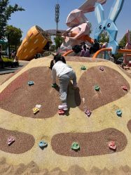 点击看大图 -季高兔窝窝亲子园(上海薰衣草公园店)