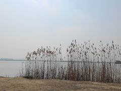 -漕湖湿地公园