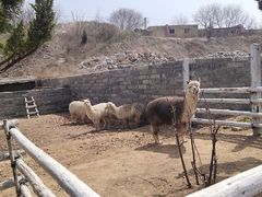 -清风小镇闯关东影视基地