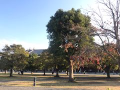 -横滨红砖仓库1号馆