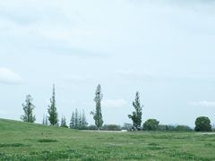 -良渚古城遗址公园