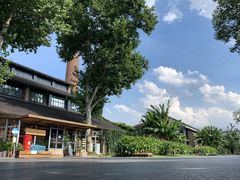 -猫的天空之城概念书店(景德镇陶溪川店)