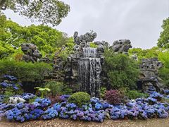 -上海鲜花港