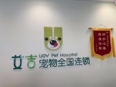 -艾吉宠物医院·疑难杂症转诊中心·猫友好(碧江路院)