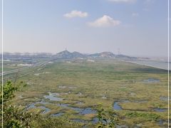 -洋山深水港