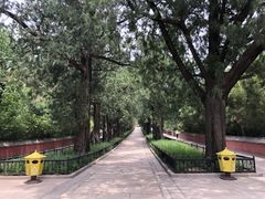 -国家植物园南园