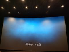 -金逸影城(影视中心IMAX店)