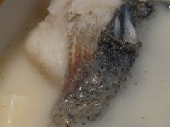 -全乐鱼馆·淳牌有机鱼直营店