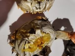 -裕龙汤泉
