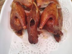 -东鸽皇(奥园·中环广场店)