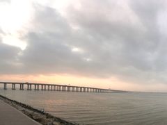 -宝安西湾红树林湿地公园